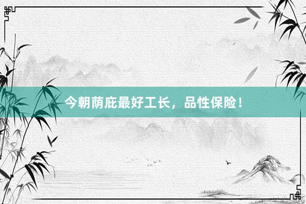 今朝荫庇最好工长，品性保险！