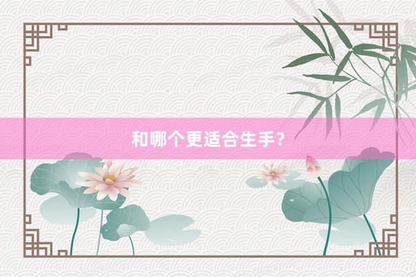 和哪个更适合生手？